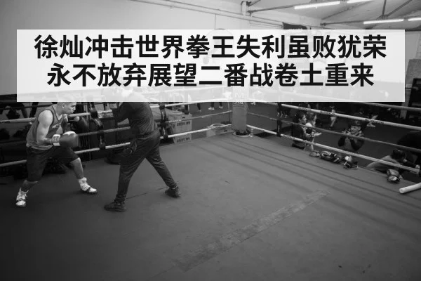boxer training gym