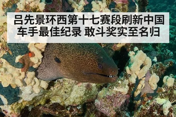 吕先景环西第十七赛段刷新中国车手最佳纪录 敢斗奖实至名归